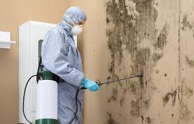 Best Crawl Space Mold Remediation  in Egypt, PA